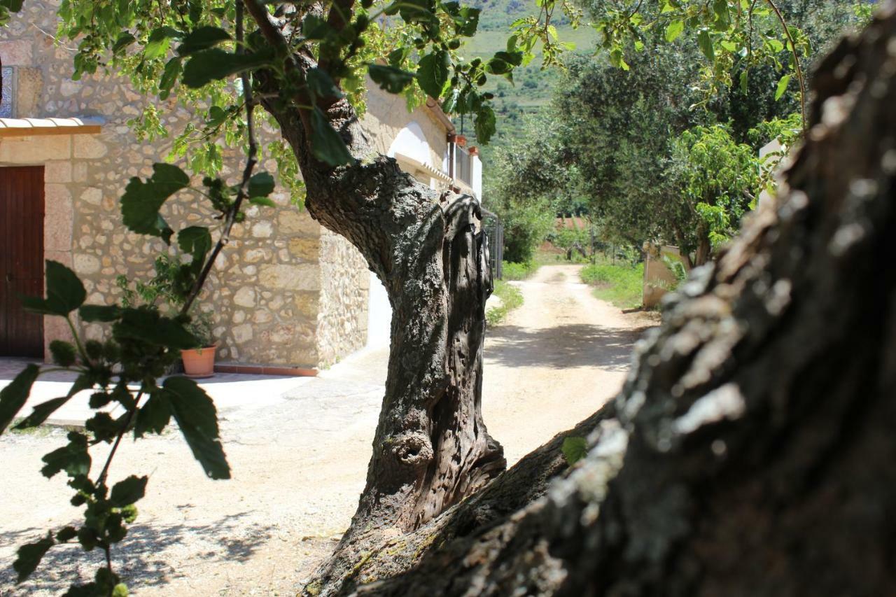 Rustici L'Antico Torchio Villa Castellammare del Golfo Exterior foto